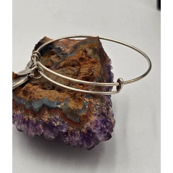 Alex and Ani Silver Tone Blackhawk Charm Bangle Bracelet Designer Jewelry - Picture 3 of 5